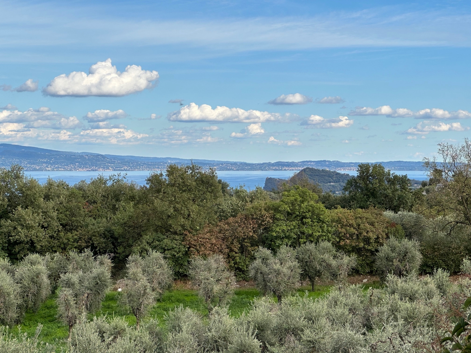 Appartamento - Puegnago sul Garda