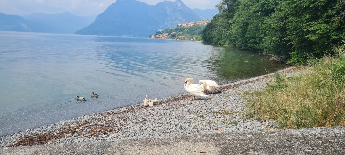 Appartamento - Monte Isola