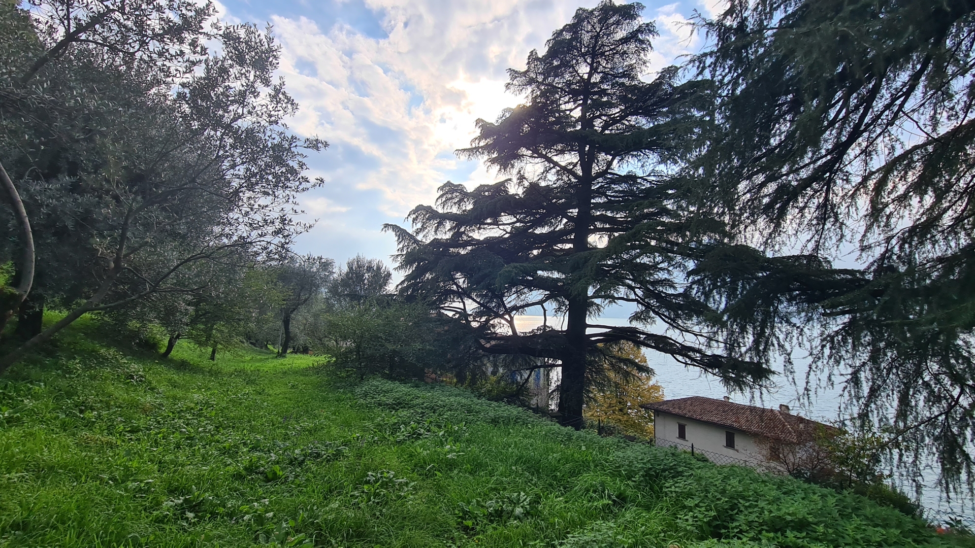 Terreno Agricolo - Monte Isola