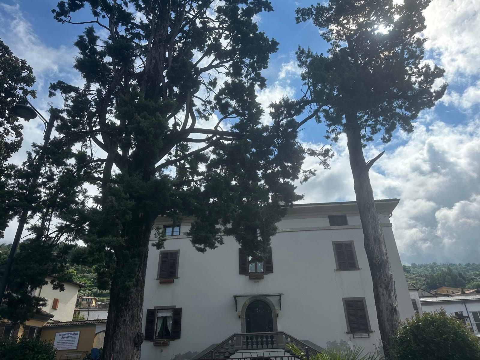 Appartamento - Sale Marasino