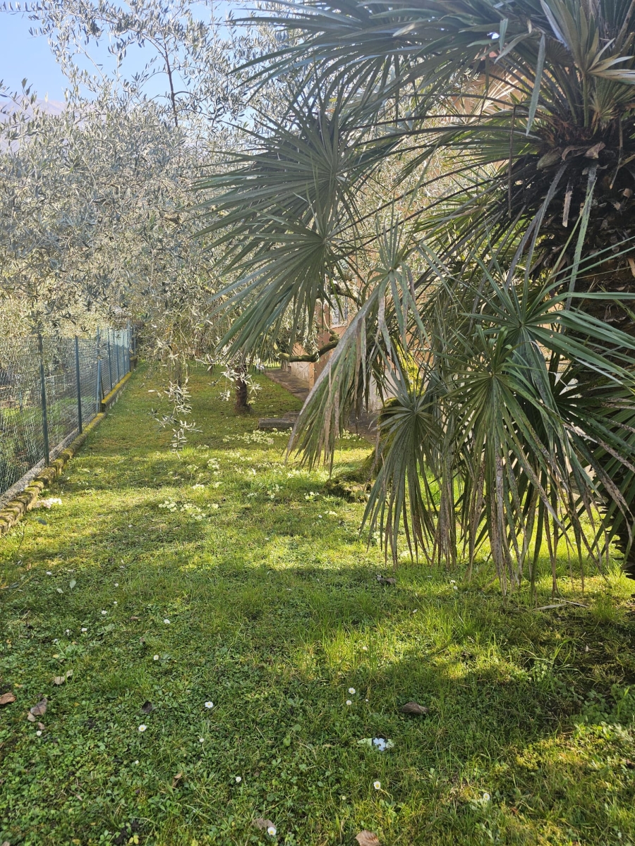Villa o Villetta - 