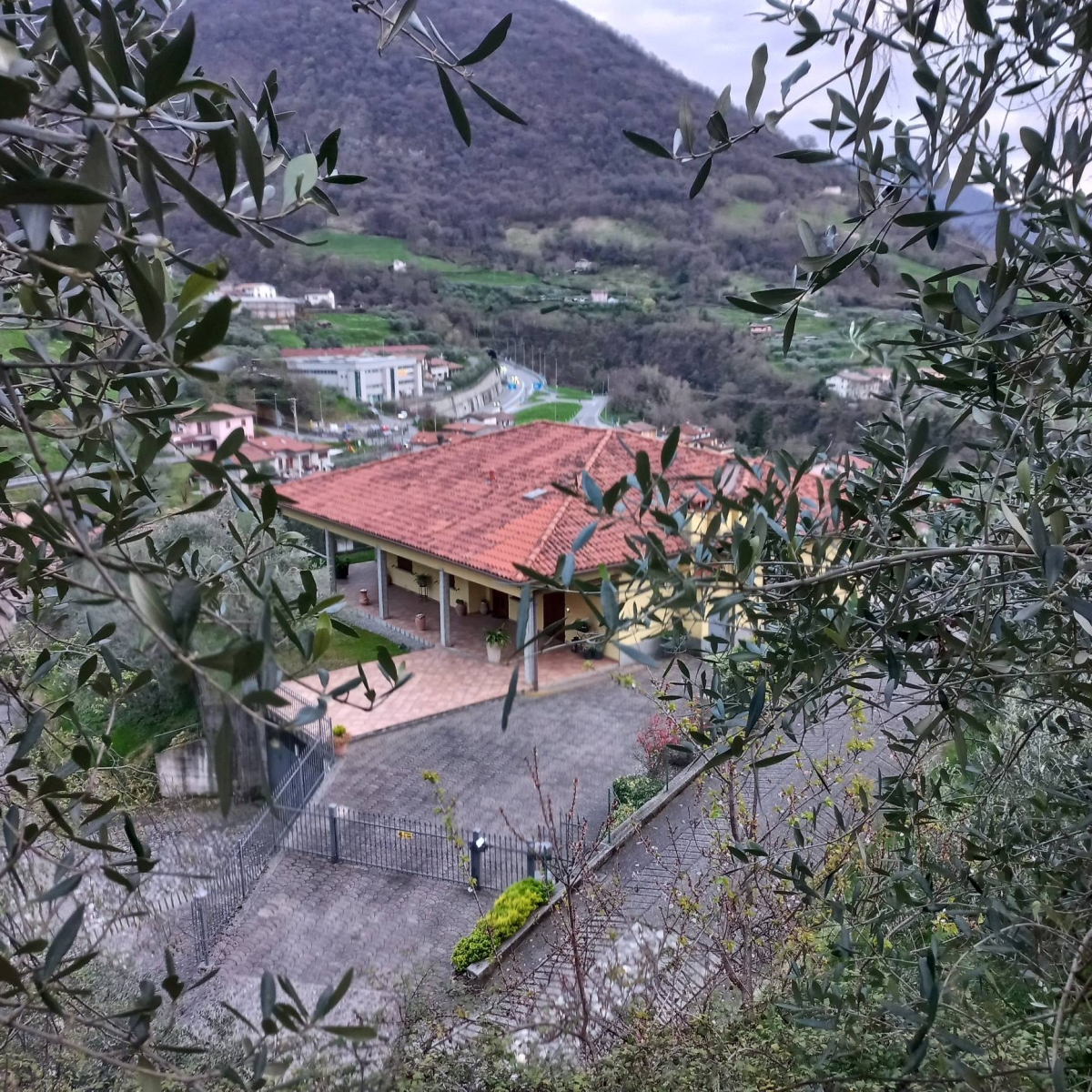 Villa o Villetta - 