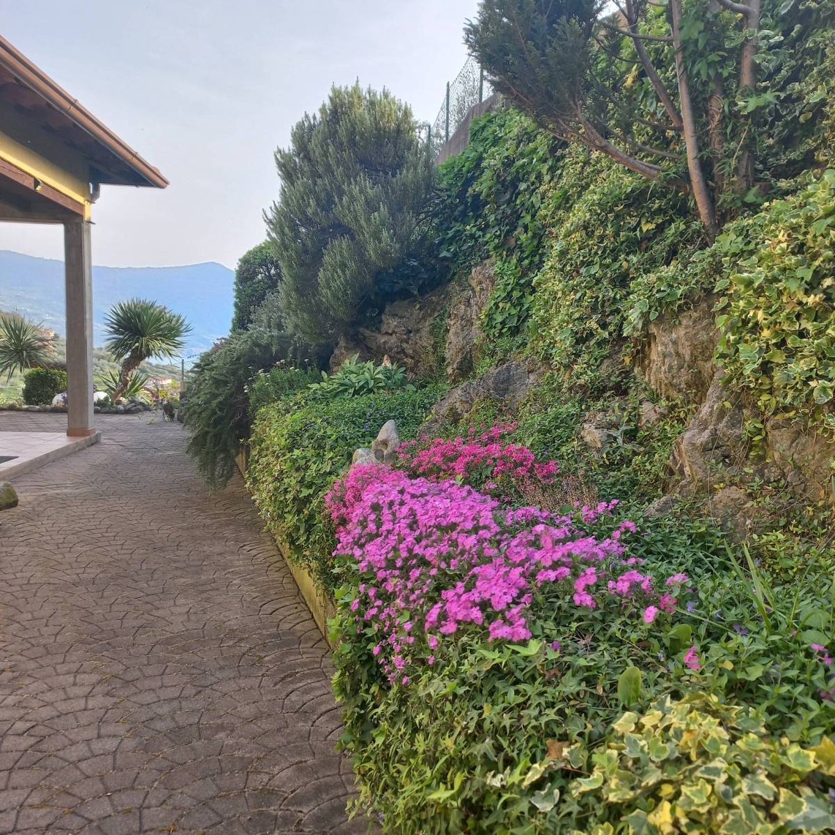 Villa o Villetta - 