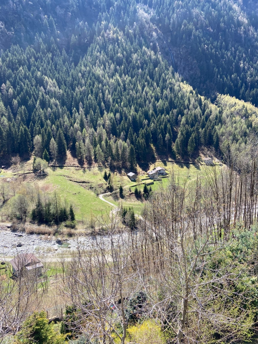 Rustico o Casale - 