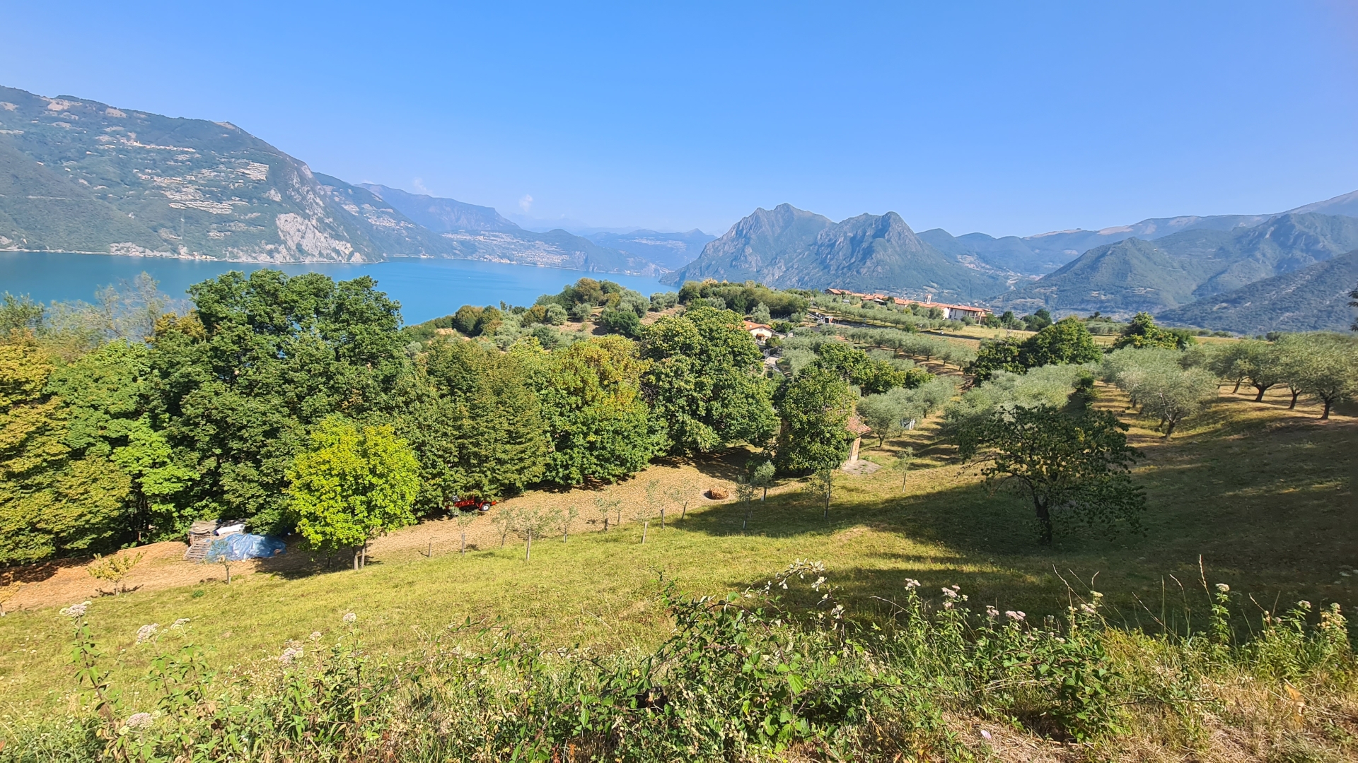 Terreno Agricolo - Monte Isola