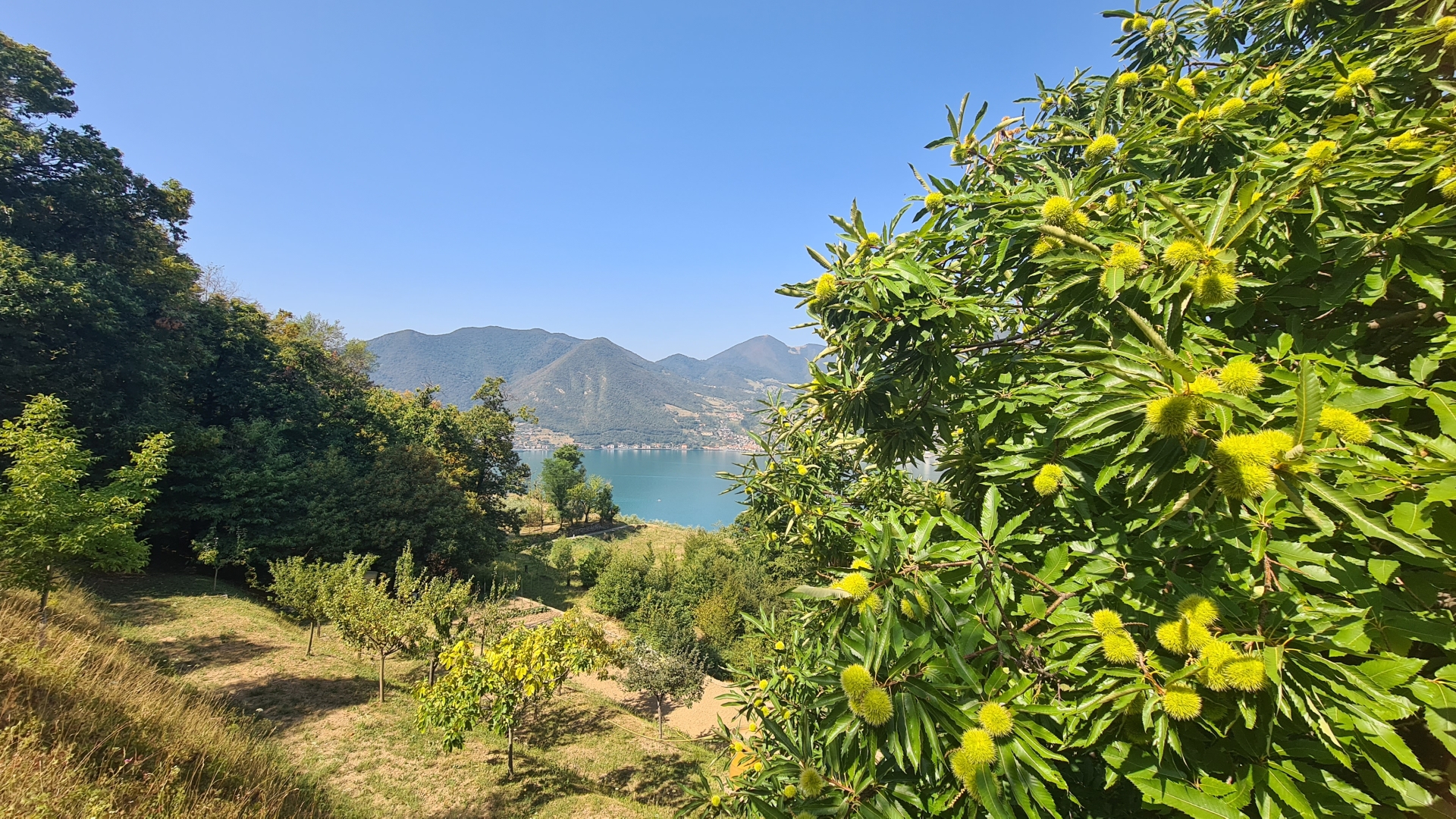 Terreno Agricolo - 