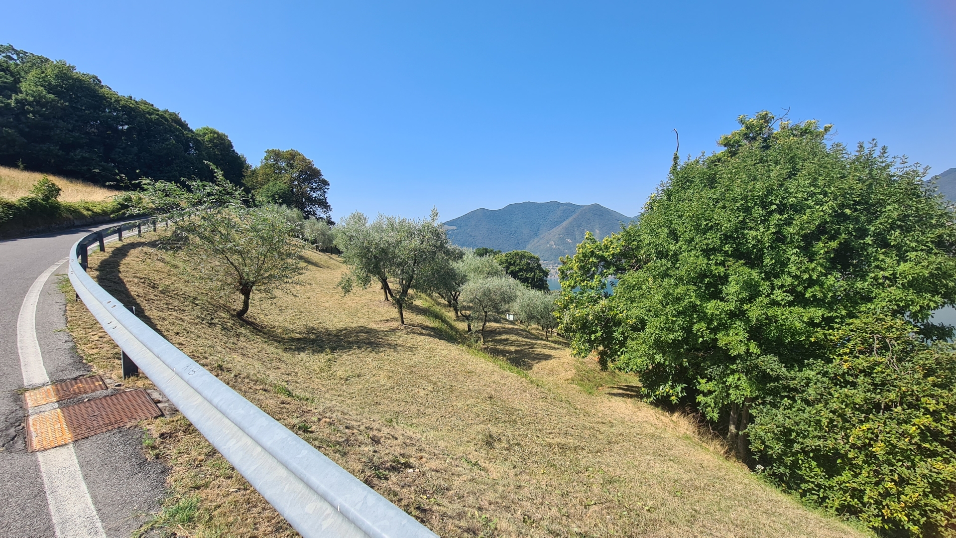 Terreno Agricolo - 