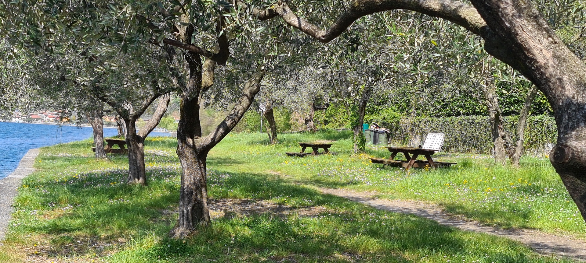 Appartamento - 