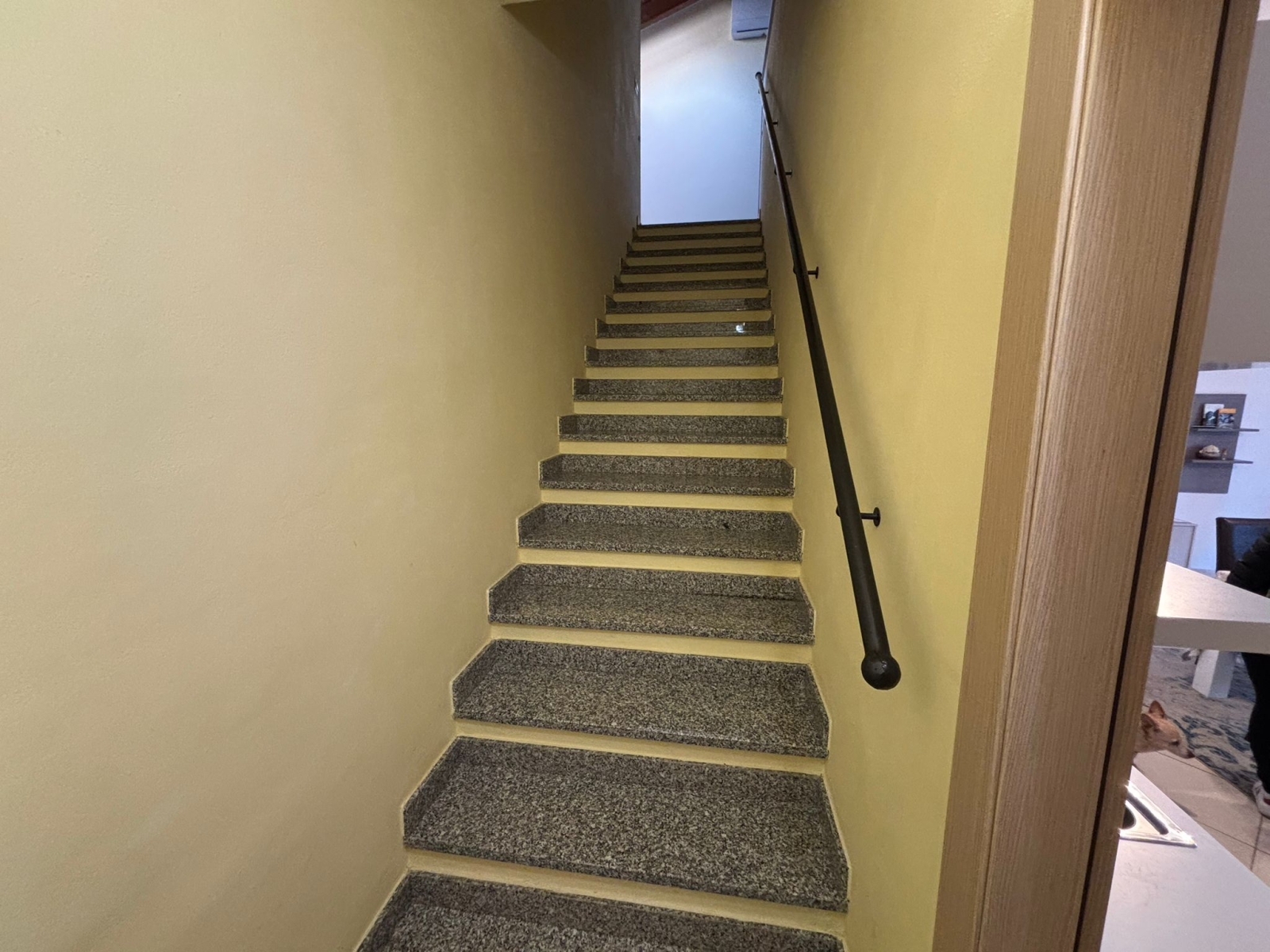 Appartamento - 