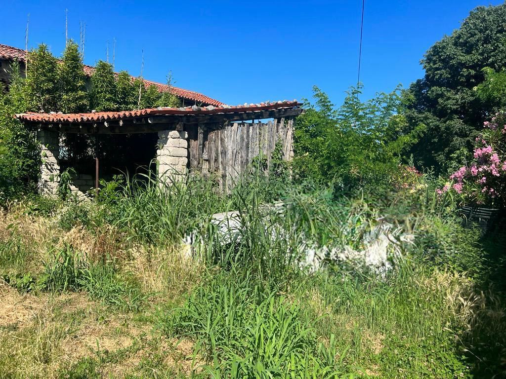 Rustico o Casale - 